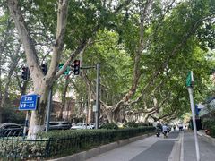 -南京钟山宾馆(江苏省会议中心)