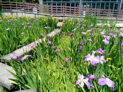 -苏州河梦清园环保主题公园