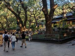-普陀山风景名胜区-法雨禅寺