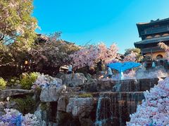 -茅山东方盐湖城景区