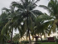 -白沙门生态公园