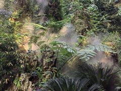 -深圳仙湖植物园