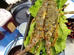 -鲜入围煮花胶鸡海鲜火锅