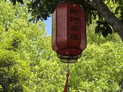 -阿巧茶庄