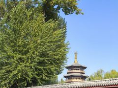 -百脉泉景区