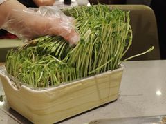 -海底捞火锅(新华联梦想城店)