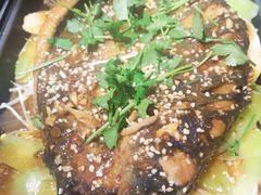 -爱妻鱼•老体北重庆水煮鱼•川菜(白云路店)