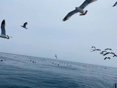 -星海湾跨海大桥