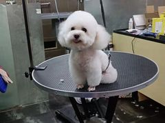 -美联众合动物医院(唯恩分院)