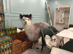 -安格丽娜·狗咖·猫咖羊驼咖(春熙路百盛商场店)