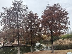 -厦门园林博览苑