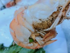 -旅南活海鲜-屏东(墾丁海鮮，海鮮餐廳，墾丁團體合菜，平價熱炒，墾丁熱炒店，活海鮮推薦，在地海鮮餐廳)