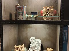 -雪灵魔法世界SHELLY’S TAROT(大良桂畔里店)