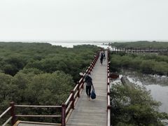 -北海金海湾红树林生态旅游区