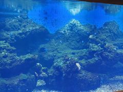 -华夏文旅西安度假区