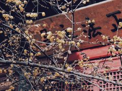 -洛阳白马寺