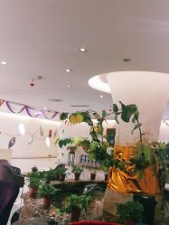 -纵享怡月月子中心(西稍门店)