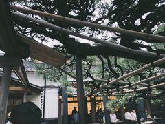 -中村藤吉(本店)