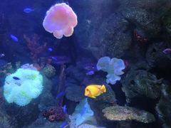 -沈阳海洋探索中心