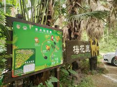 -海南热带野生动植物园