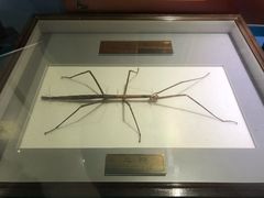 -上海昆虫博物馆