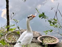 -刘家花园·柴火鸡·中餐酒楼·西昌烧烤(三圣乡店)