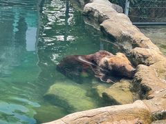 -深圳野生动物园