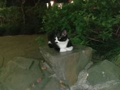 -苏堤停车场