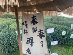 -龙坞茶村
