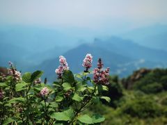 -白草畔自然风景区