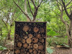 -华侨城湿地公园