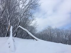 -鳌山滑雪度假区