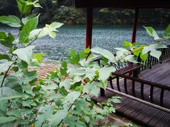 -祁门牯牛降观音堂风景区