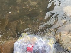 -楠溪江风景名胜区