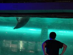 -波塞冬旅游度假区