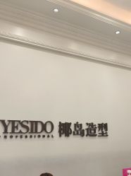 -YESIDO椰岛造型