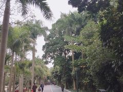 -南宁南湖公园