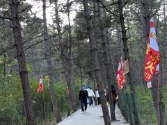 -帽儿山国家森林公园