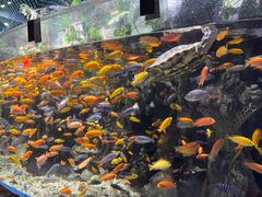 -太平洋海底世界