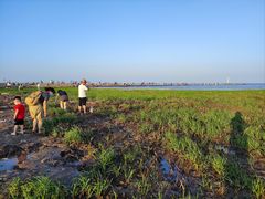 -南汇嘴观海公园