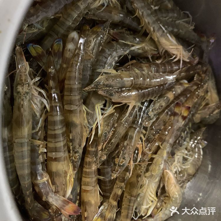 清蒸斑节虾（九节虾）