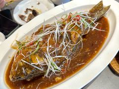 糖醋脆皮鱼-张烤鸭·川菜·非遗冒烤鸭(青石桥店)