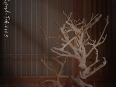 -荣一代目OMAKASE板前料理