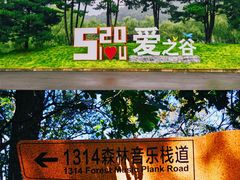 -沉浸北京·团建旅行·密室剧本杀·年会会议轰趴拓展