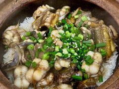 -红星光发煲仔饭(大石街店)