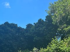 -红花山公园