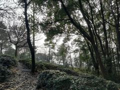 -灵岩山风景区