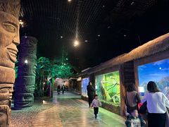 -华夏文旅海洋公园