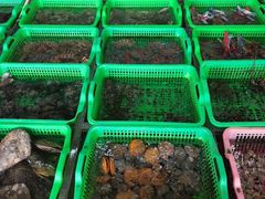-众味海鲜大排档·活海鲜·潮汕味(南澳店)