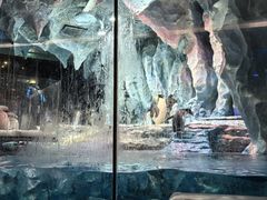 -帝企鹅自助餐厅•儿童岛•真企鹅(长隆企鹅酒店)